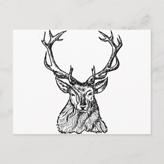 Carte Postale Cerf (Devant)