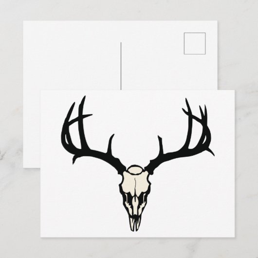 Carte Postale Cerf (Devant / Derrière)