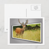 Carte Postale Cerf (Devant / Derrière)