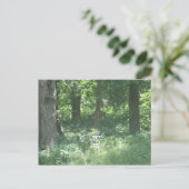 Carte Postale Cerf (Debout devant)