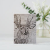 Carte Postale cerf 2 (Debout devant)