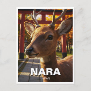 Carte Postale Cerf à Nara Park Voyage au Japon