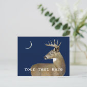 Carte Postale Cerf à queue blanche (Debout devant)