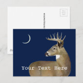 Carte Postale Cerf à queue blanche (Devant / Derrière)