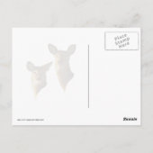 Carte Postale Cerf à queue blanche dans la neige (Dos)