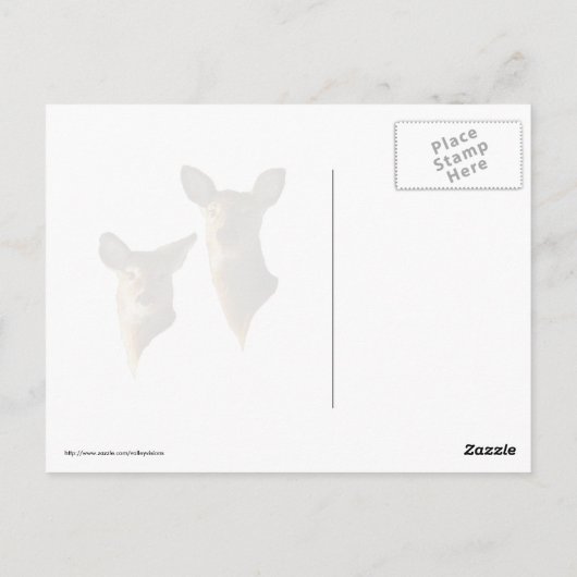 Carte Postale Cerf à queue blanche dans la neige (Dos)