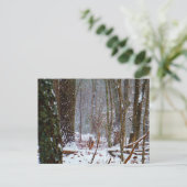 Carte Postale cerf à queue blanche dans la neige (Debout devant)