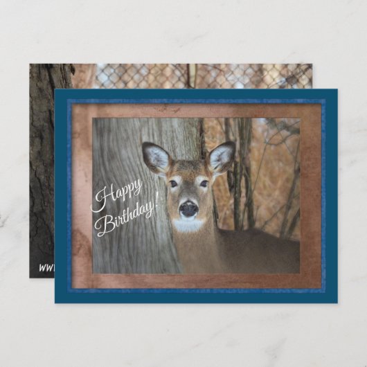 Carte Postale Cerf à queue blanche Joyeux anniversaire (Devant / Derrière)