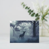 Carte Postale Cerf avec Antlers dans une forêt ombragée (Debout devant)