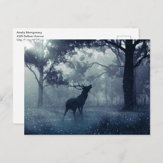Carte Postale Cerf avec Antlers dans une forêt ombragée (Devant / Derrière)