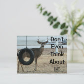 Carte postale Cerf avec attitude (Debout devant)