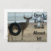 Carte postale Cerf avec attitude (Devant / Derrière)