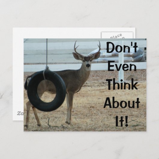 Carte postale Cerf avec attitude (Devant / Derrière)