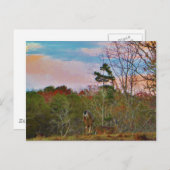 Carte Postale Cerf avec ciel bleu rose (Devant / Derrière)
