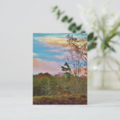 Carte Postale Cerf avec ciel bleu rose (Debout devant)