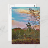 Carte Postale Cerf avec ciel bleu rose (Devant / Derrière)