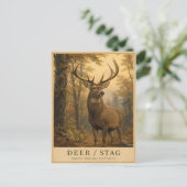 Carte Postale Cerf Biche Forêts VINTAGE (Debout devant)