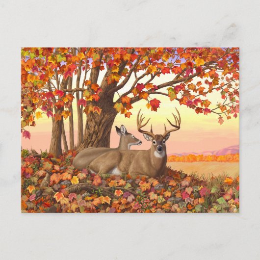 Carte Postale Cerf blanc en automne Nouvelle-Angleterre Couleurs (Devant)