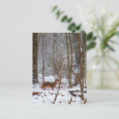 Carte Postale Cerf dans la chute de neige (Debout devant)