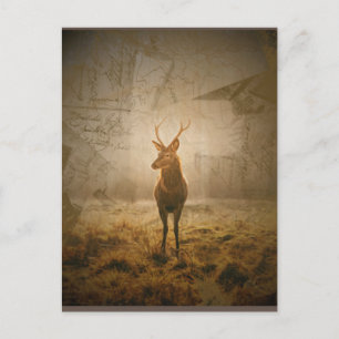 Carte Postale Cerf dans la forêt