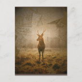 Carte Postale Cerf dans la forêt (Devant)