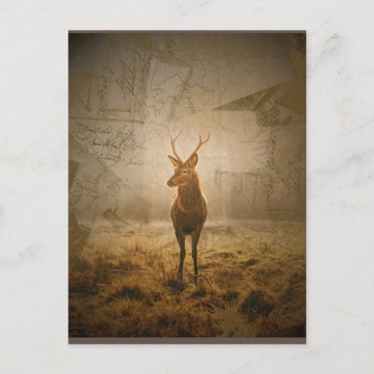 Carte Postale Cerf dans la forêt (Devant)