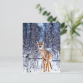 Carte Postale Cerf dans la neige, (Debout devant)