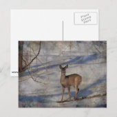 Carte Postale Cerf dans la neige (Devant / Derrière)