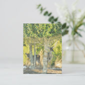 Carte Postale Cerf dans la neige (Debout devant)