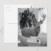 Carte Postale Cerf dans la salle de bain noir blanc (Devant / Derrière)