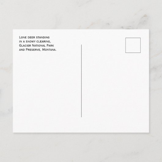 Carte Postale Cerf dans le déneigement, Parc national des Glacie (Dos)