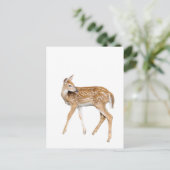 Carte Postale Cerf de bébé (Debout devant)