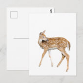 Carte Postale Cerf de bébé (Devant / Derrière)