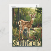 Carte Postale Cerf de Caroline du Sud (Devant / Derrière)