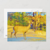 Carte Postale Cerf de couleur moutarde avec bleu clair (Devant / Derrière)