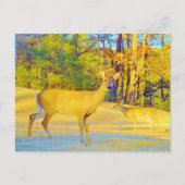 Carte Postale Cerf de couleur moutarde avec bleu clair (Devant)