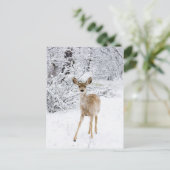 Carte Postale Cerf de neige (Debout devant)