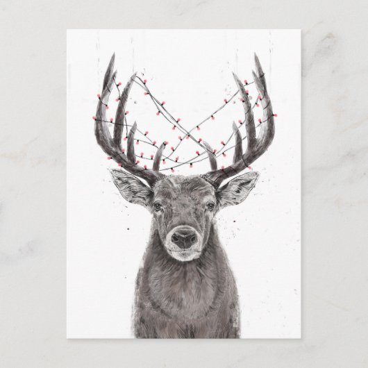 Carte Postale Cerf de Noël (Devant)