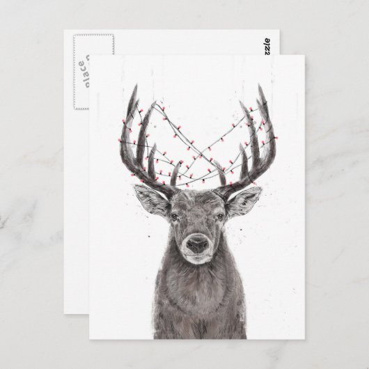 Carte Postale Cerf de Noël (Devant / Derrière)