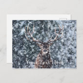 Carte Postale Cerf de Noël d'hiver (Devant / Derrière)