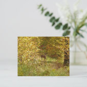 Carte Postale Cerf de Pennsylvanie en automne (Debout devant)