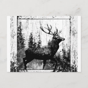 Carte Postale Cerf de stade vintage noir blanc animal