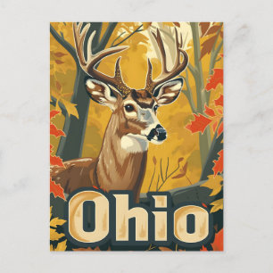 Carte Postale Cerf de Virginie de l'Ohio