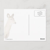 Carte Postale Cerf De Virginie Qui Vous Regarde (Gros Plan) (Dos)