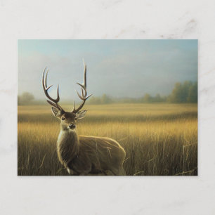 Carte Postale Cerf debout dans un champ d'herbe