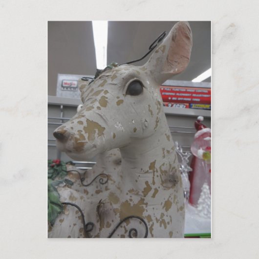 Carte Postale Cerf décoratif (Devant)
