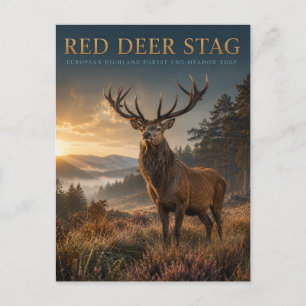Carte Postale Cerf élaphe cerf des Highlands Prairie ANIMALS