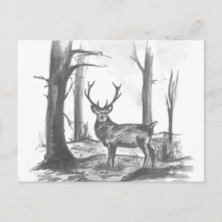 Carte Postale cerf en bois