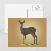 CARTE POSTALE CERF EN COURANT (Devant / Derrière)