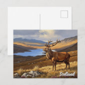 Carte Postale Cerf en Écosse Voyage (Devant / Derrière)